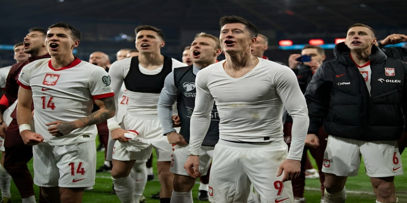 Thành tích mà Đội tuyển Ba Lan ghi được khi tham gia Euro