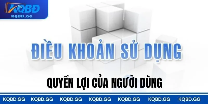 Quyền lợi của người dùng